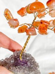 Wire Tree Carnelian on Amethyst Base