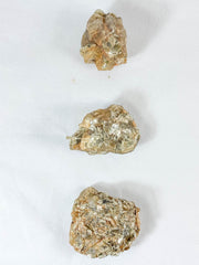 Citrine and Mika Natural | X Large