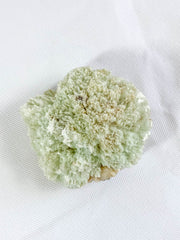 Scolecite Cluster with Inclusions 318g