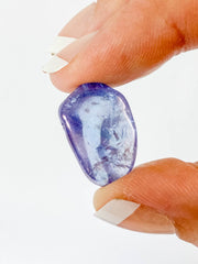 Aura Tanzin Tumbles | Mini
