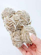 Desert Rose Selenite Cluster Statement Piece 859g