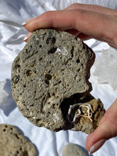 Hag Stone | X Large
