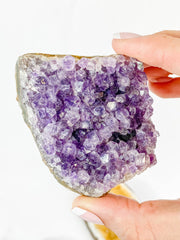 Meditation Divine Pair: Amethyst + Citrine | Large
