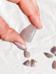 Lavender Tumbles | Mini