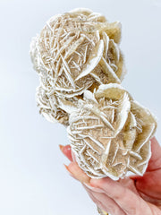 Desert Rose Selenite Cluster Statement Piece 859g