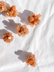 Aragonite Sputnik | X Small