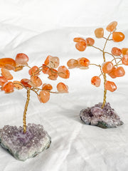 Wire Tree Carnelian on Amethyst Base