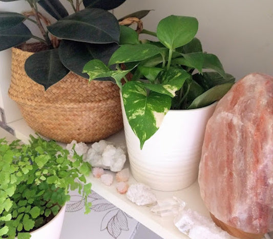 The Magic of Nature: 4 Best Gardening Crystals to Nurture Plant Growth