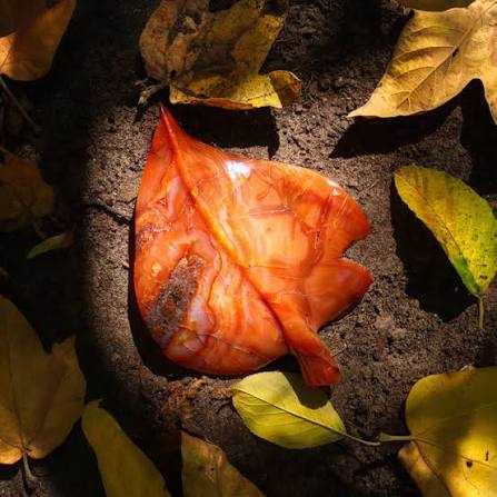 Carnelian Meaning: The Crystal of Vitality & Creative Fire