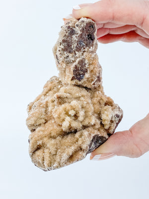 ZEOLITE