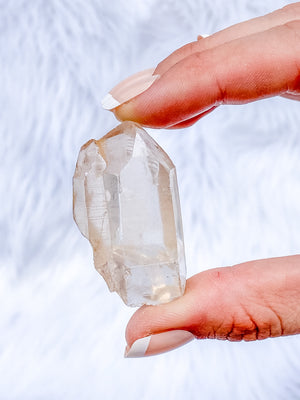 LEMURIAN