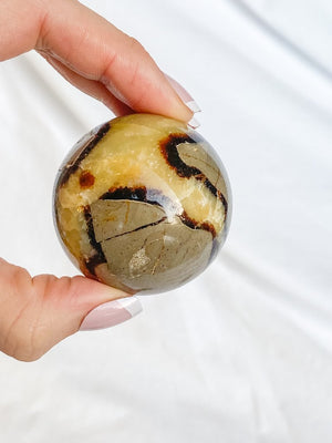 SEPTARIAN