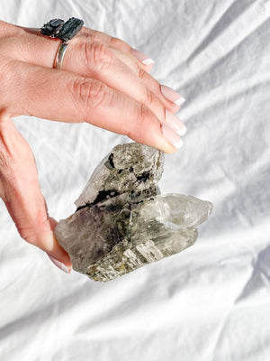 INCLUSIONS