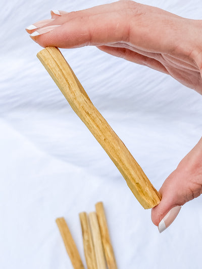 PALO SANTO