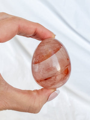 EGGS