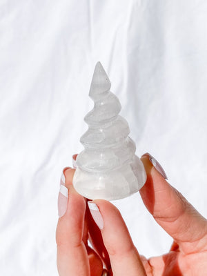 HORN