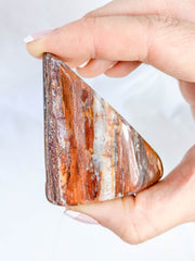 Petrified Wood Polished Cut Base 91g