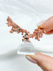 Copper Mineral Specimen