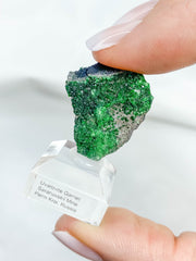 Uvarovite Green Garnet Mineral Specimen