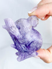 Amethyst Koala Tree Hugger 91g