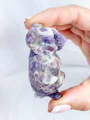 Amethyst Chevron Koala Tree Hugger 83g