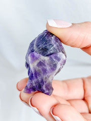 Amethyst Chevron Koala Tree Hugger 80g