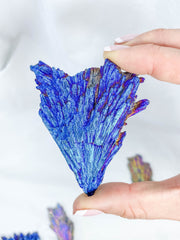 Titanium Coated Black Kyanite Natural | Small