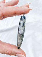 Orthoceras Fossil Polished Pendant
