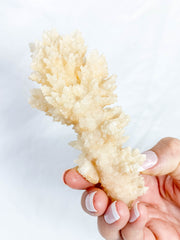 Calcite Fairy Wand 171g