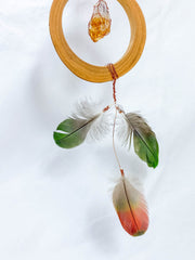 Abundance Amulet Citrine and Macaw Feather