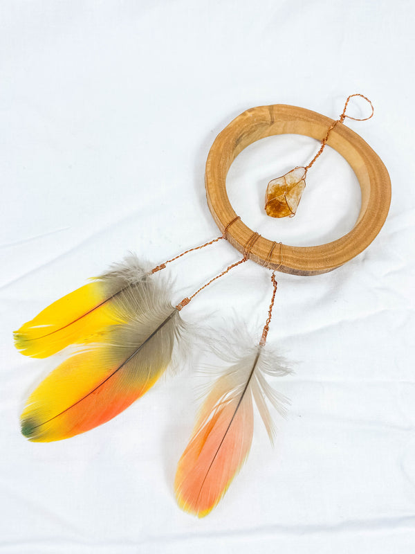 Abundance Amulet Citrine and Macaw Feather