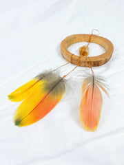 Abundance Amulet Citrine and Macaw Feather