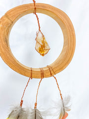 Abundance Amulet Citrine and Macaw Feather