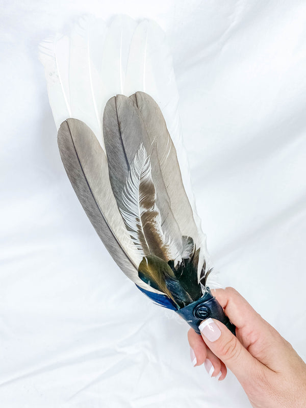 Ceremonial Feather Fan