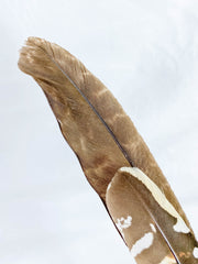 Gaia Healing Wand with Wooden Stand
