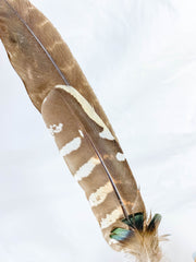 Gaia Healing Wand with Wooden Stand