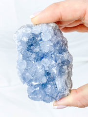 Celestite Cluster 255g
