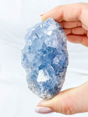 Celestite Cluster 328g