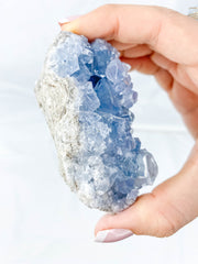 Celestite Cluster 328g