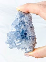 Celestite Cluster 310g