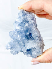 Celestite Cluster 310g