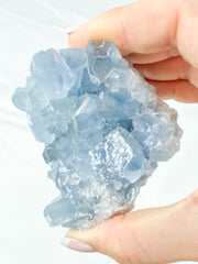 Celestite Cluster 407g