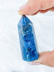 Apatite Polished Point | Small