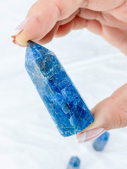 Apatite Polished Point | Small