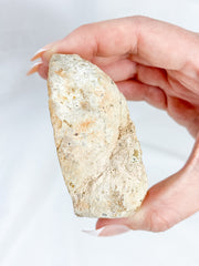 Agate ThunderEgg 207g