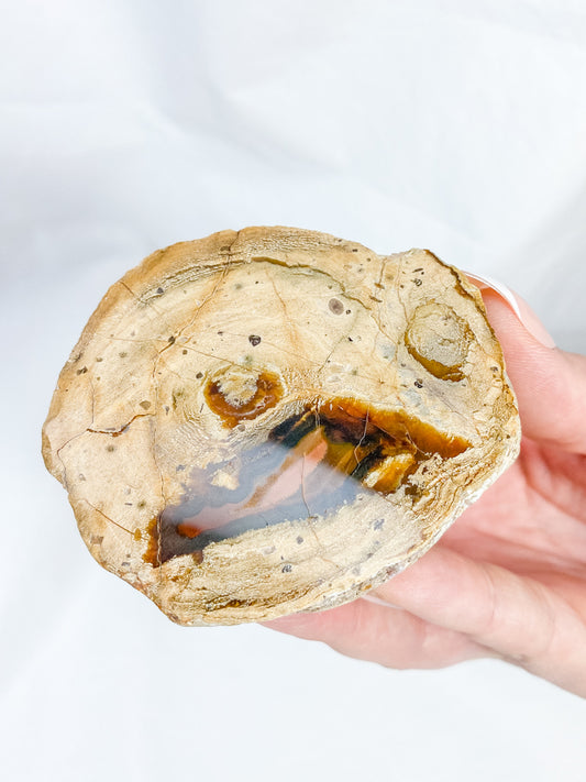 Agate ThunderEgg 207g