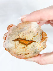 Agate ThunderEgg Bird 139g