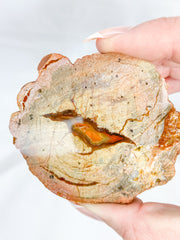 Agate ThunderEgg Bird 139g
