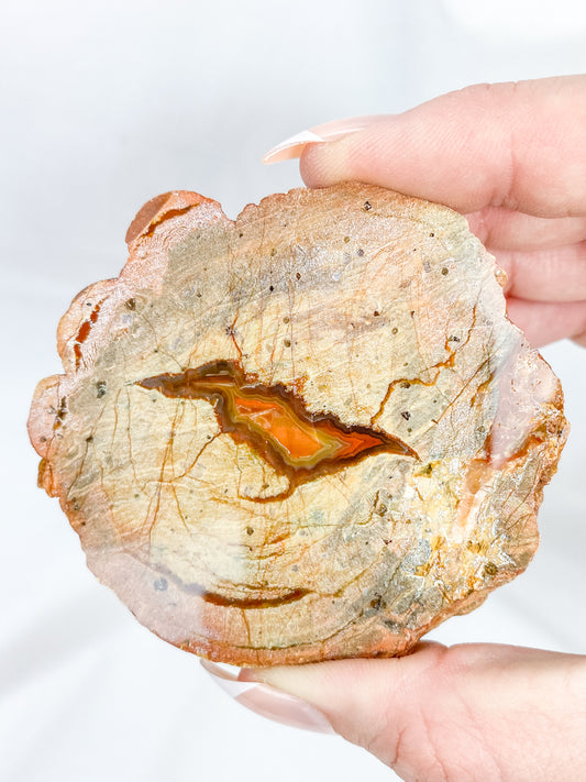 Agate ThunderEgg Bird 139g