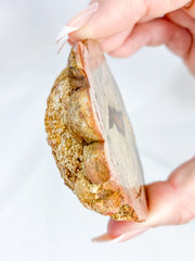 Agate ThunderEgg Bird 139g